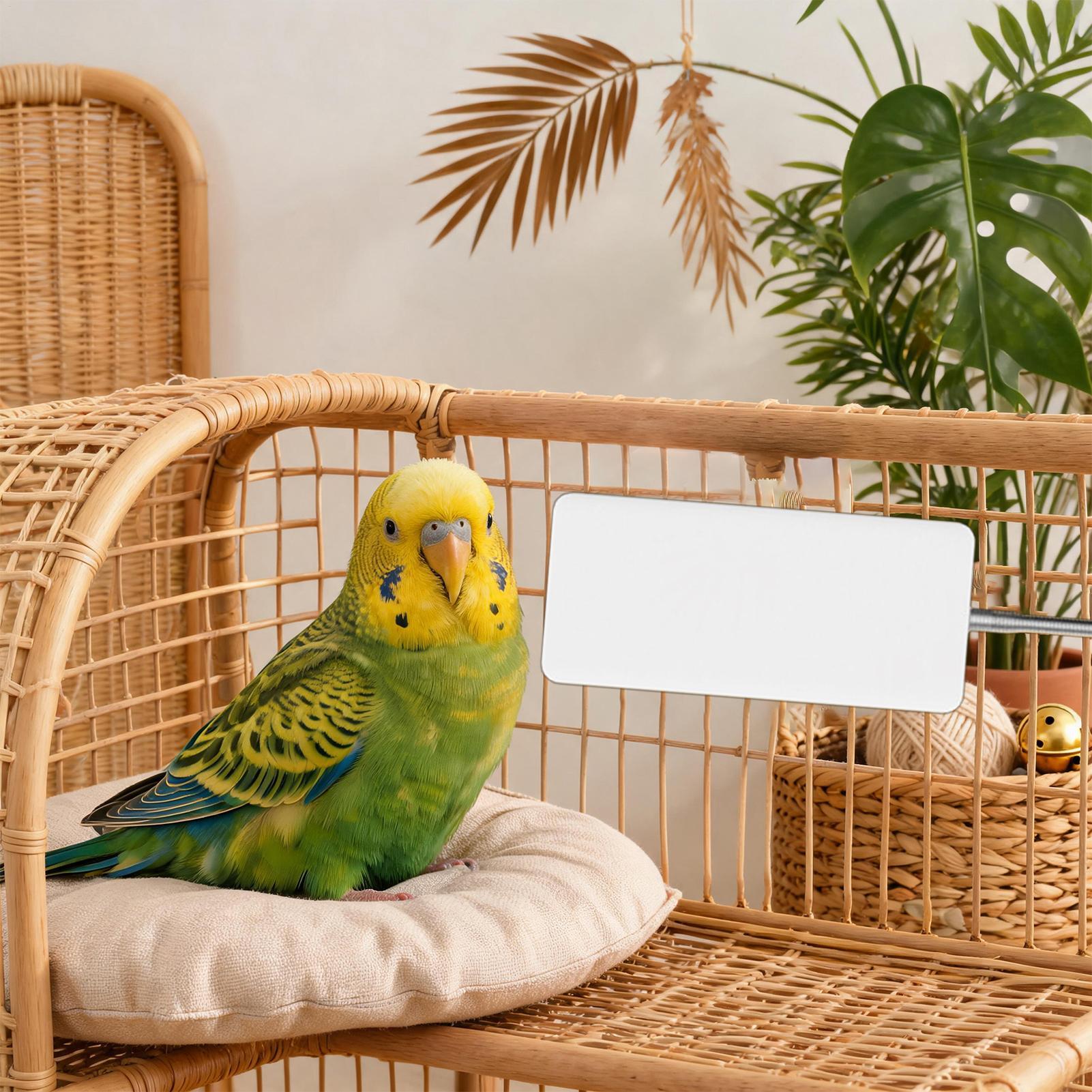 Smart Garden Bird Bath - ペットヒーター 5V 安全ペット冬用暖房器具 スマートオウム冬用ヒーター 庭用 室内用