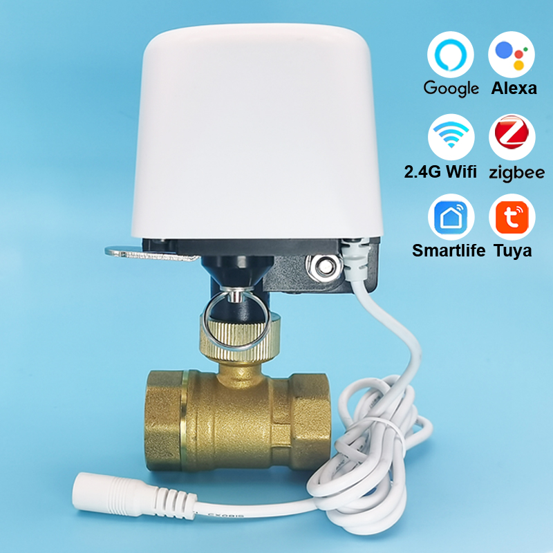 1/2インチ 3/4インチ 1インチ DN32 Tuya Z - Smart Garden Watering のレビューと価格