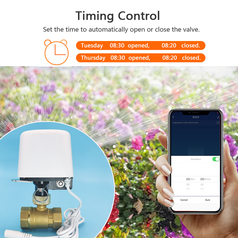 1/2インチ 3/4インチ 1インチ DN32 Tuya Z - Smart Garden Watering のレビューと価格