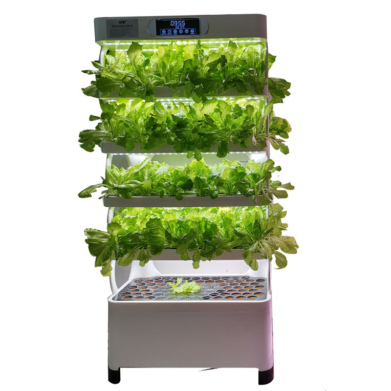 屋内スマート低価格水耕栽培垂直庭園水耕栽培植物野菜栽培システ - Smart Garden Vertical のレビューと価格
