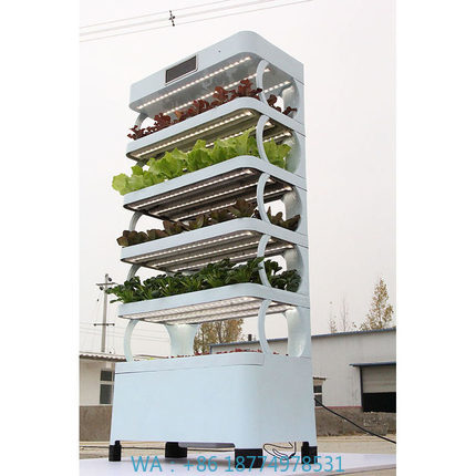 家庭用ハイドロポニック栽培システム新登場 室内スマートガーデ - Smart Garden Vertical のレビューと価格